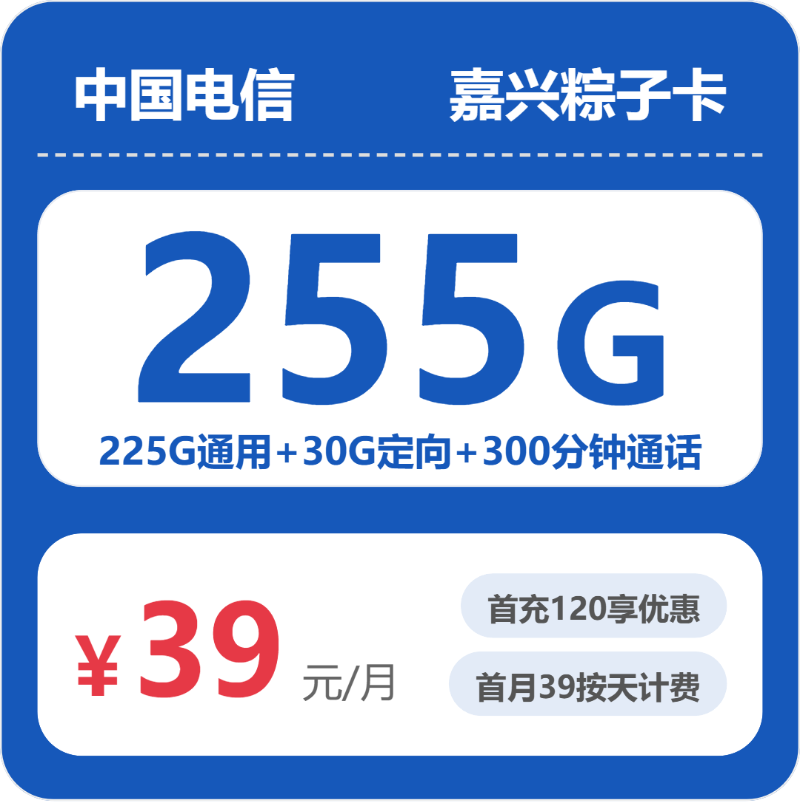 嘉兴电信粽子卡