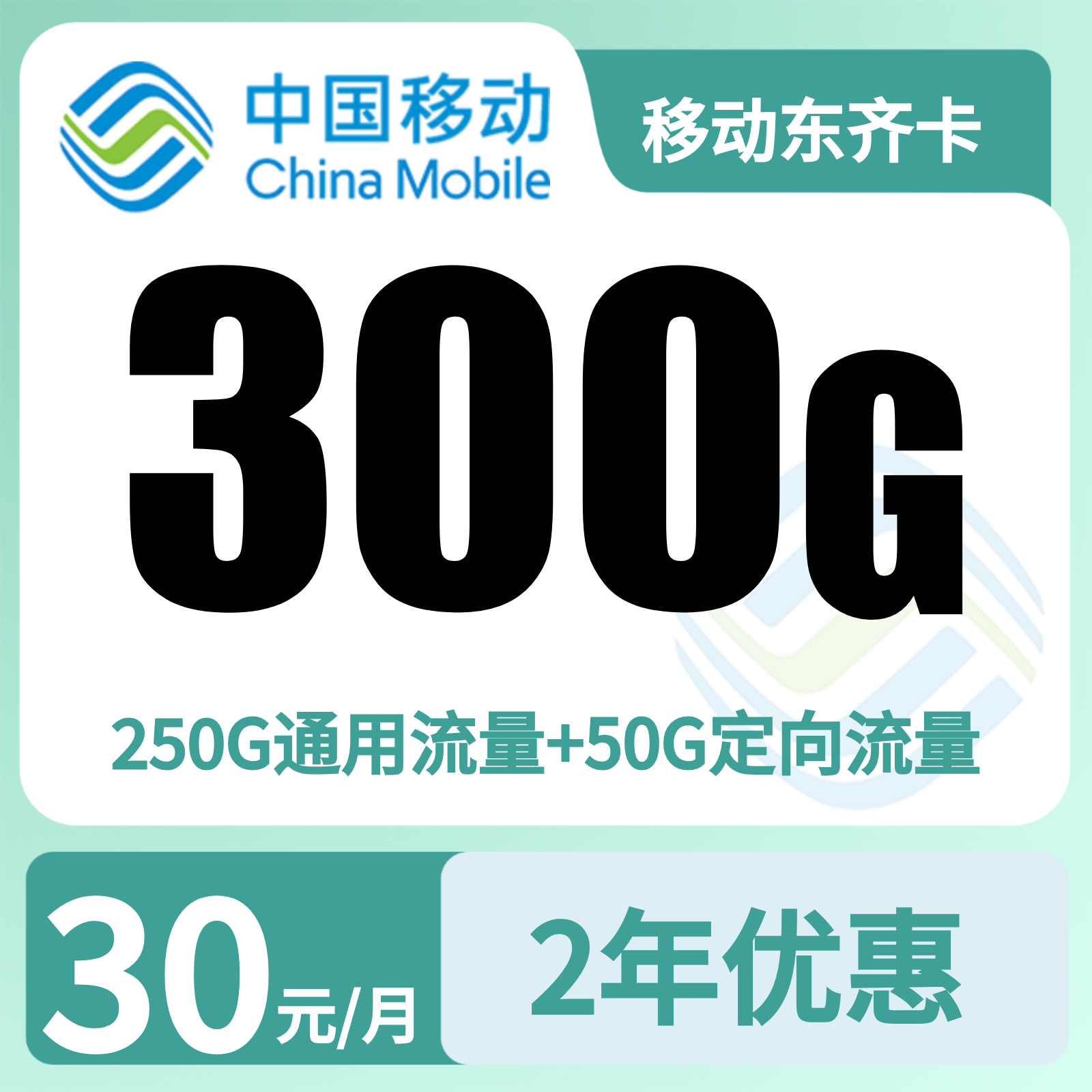 山东移动东齐卡 - GY移动东齐卡30元300G+100分钟【只发山东】 - 流量卡免费办理